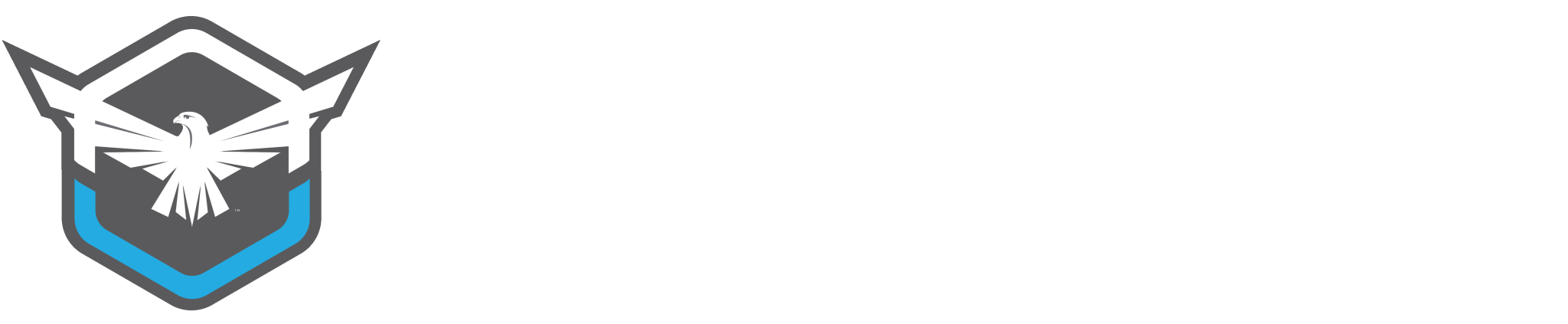 Falcon Pursuit